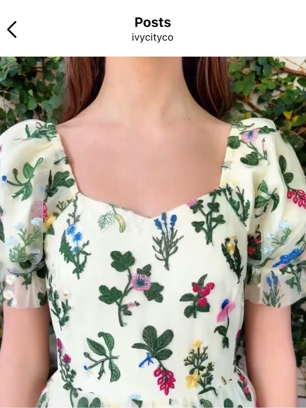 Ivy City Co Amora Top in Multicolor Floral  Embroidery with Puff Sleeves